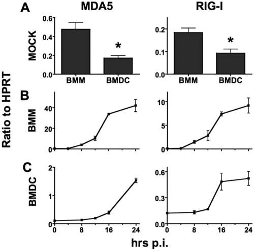 FIG 2 