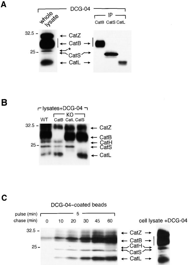 Figure 4.