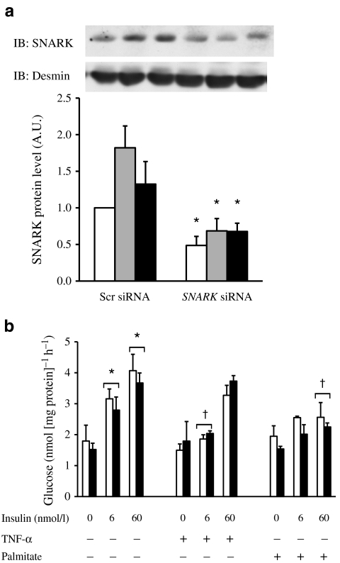 Fig. 6