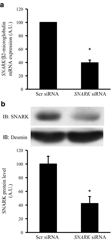Fig. 3