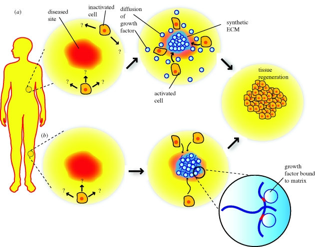 Figure 3.