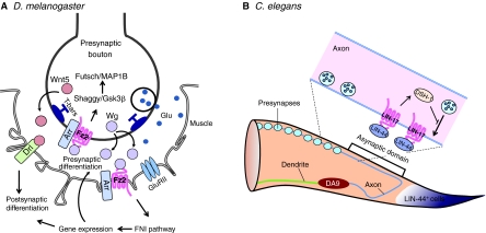 Fig. 4.