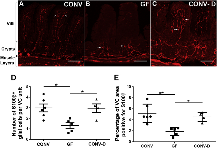 Figure 3