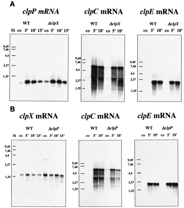 FIG. 7.