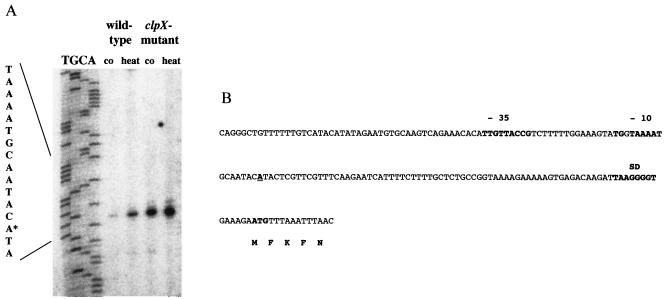FIG. 9.