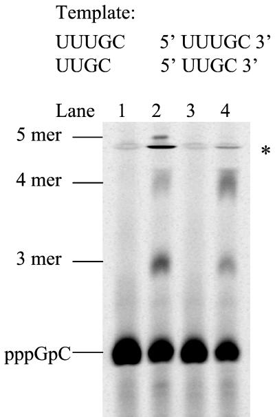 FIG. 5.