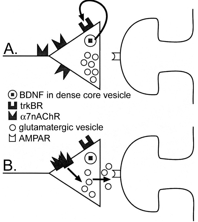 Figure 12.