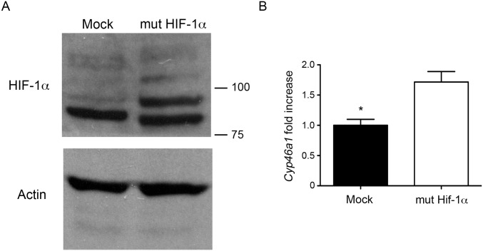 Fig. S7.