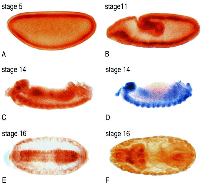 FIG. 5