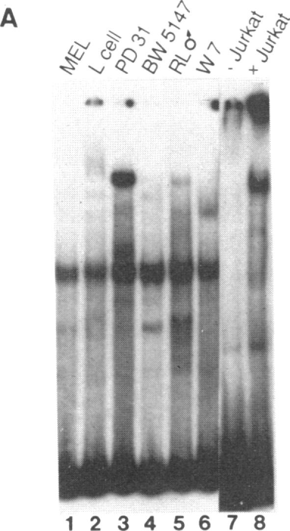 graphic file with name pnas00261-0066-b.jpg