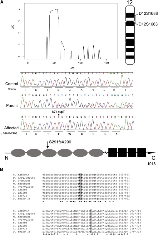 Figure 2
