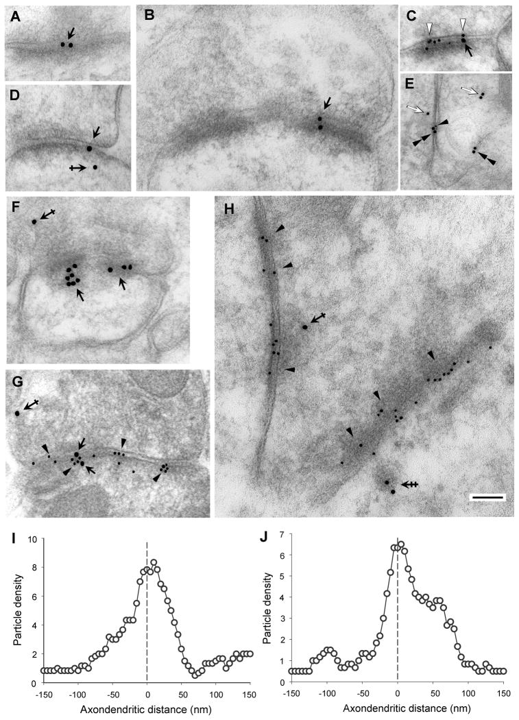Fig. 10