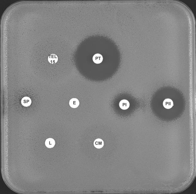 FIG. 14.