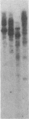 1950