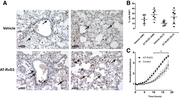 Figure 6