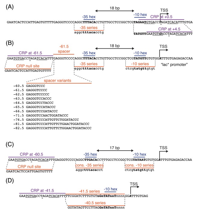 Appendix 1—figure 1.