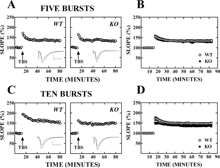 
Figure 10.
