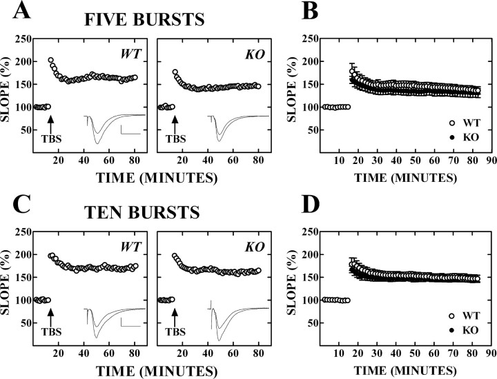 
Figure 9.

